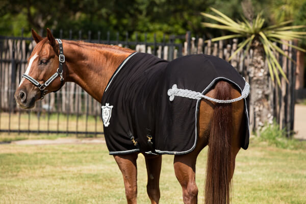 Couverture séchante Horseware