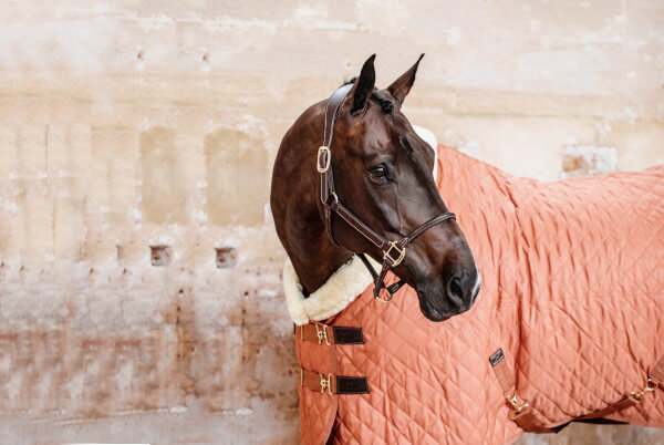 Toutes les nouveautés sur les couvertures pour chevaux chez HorSeven