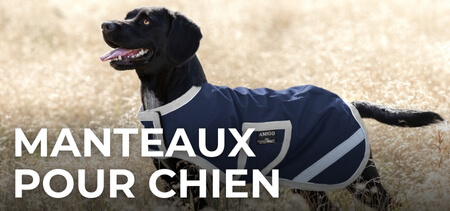 Manteaux pour chien