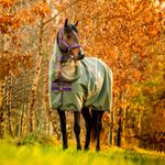 Couverture Cheval Horseware Amigo Hero Ripstop Plus 100g - Édition Limitée - Neuf Sous Emballage