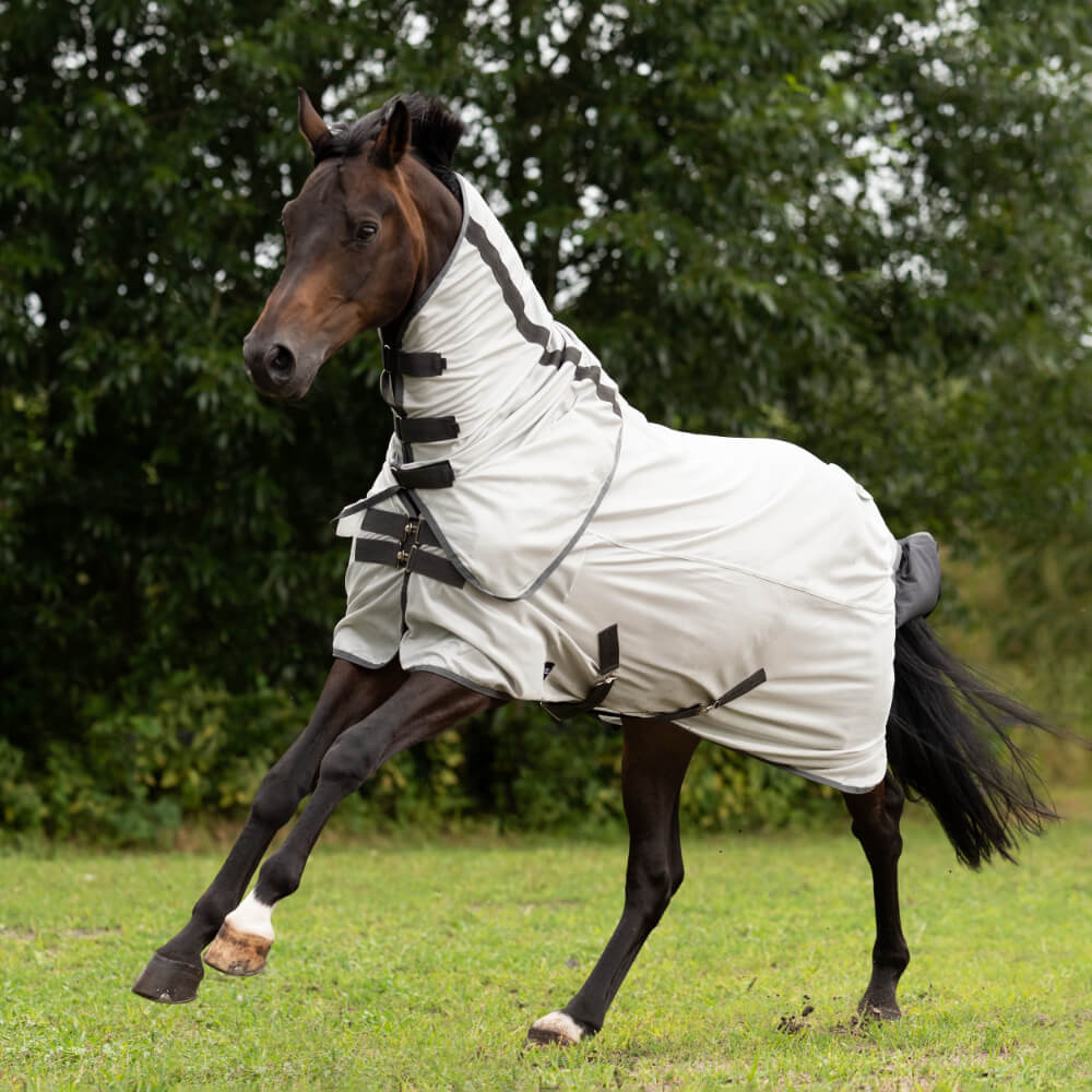 Chemise anti-mouches Economy Light - Equitation