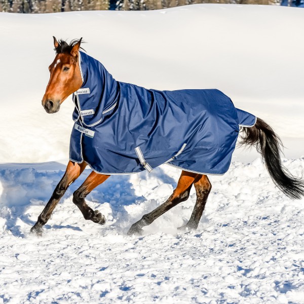 Couverture Pour Cheval Bucas Freedom Turnout 130 Cm - 150 G, Bleu Marine/argenté, Imperméable Et Respirante