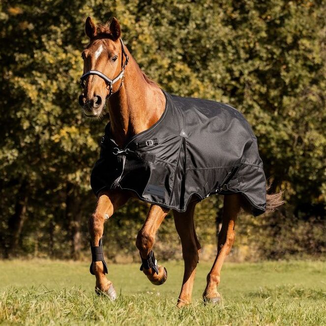 Couverture D'extérieur Pour Cheval Waldhausen Nordic - Taille 135cm, 50g De Rembourrage, Imperméable 3000mm, Bleu Nuit