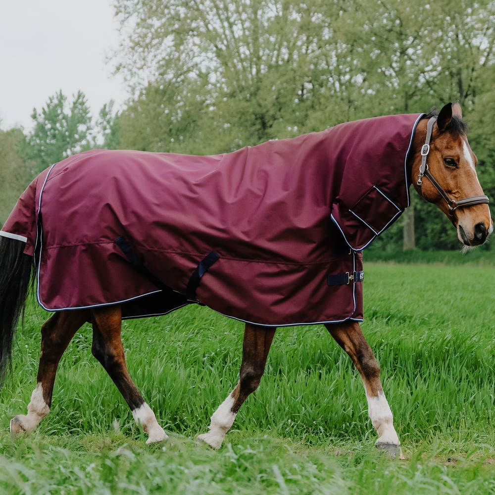 Equithème Classic 1200D Couverture Extérieur Cheval 200g - 145cm Bleu Marine