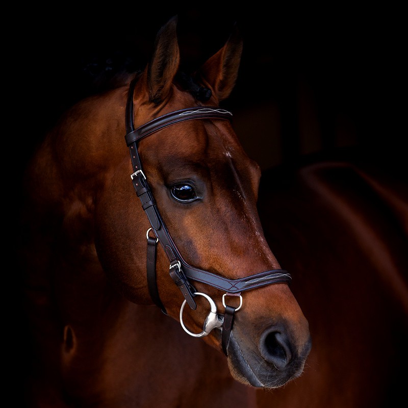 Bridon Rambo Micklem 2 Deluxe Competition | Bridon équitation