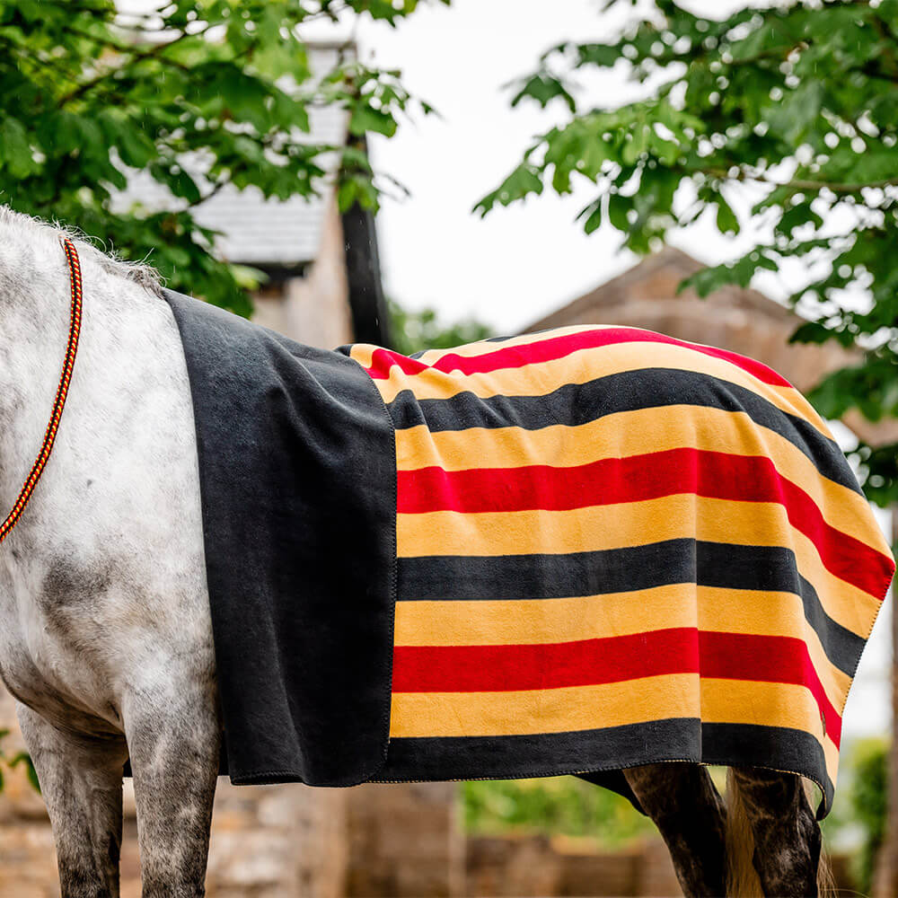 Polaire Poney Horseware Newmarket – Chaude Et Confortable Pour Votre Poney