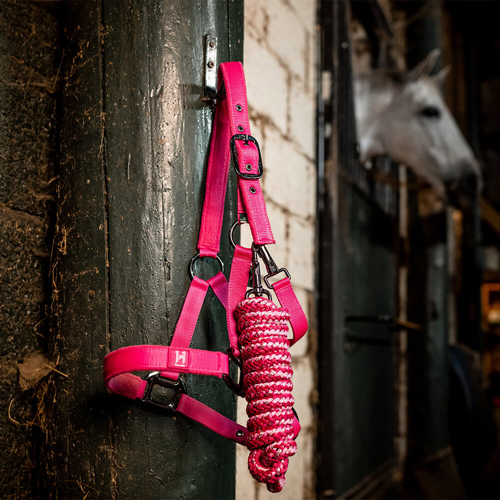Collier de chasse Trèfle Reynalds cheval - Le Paturon