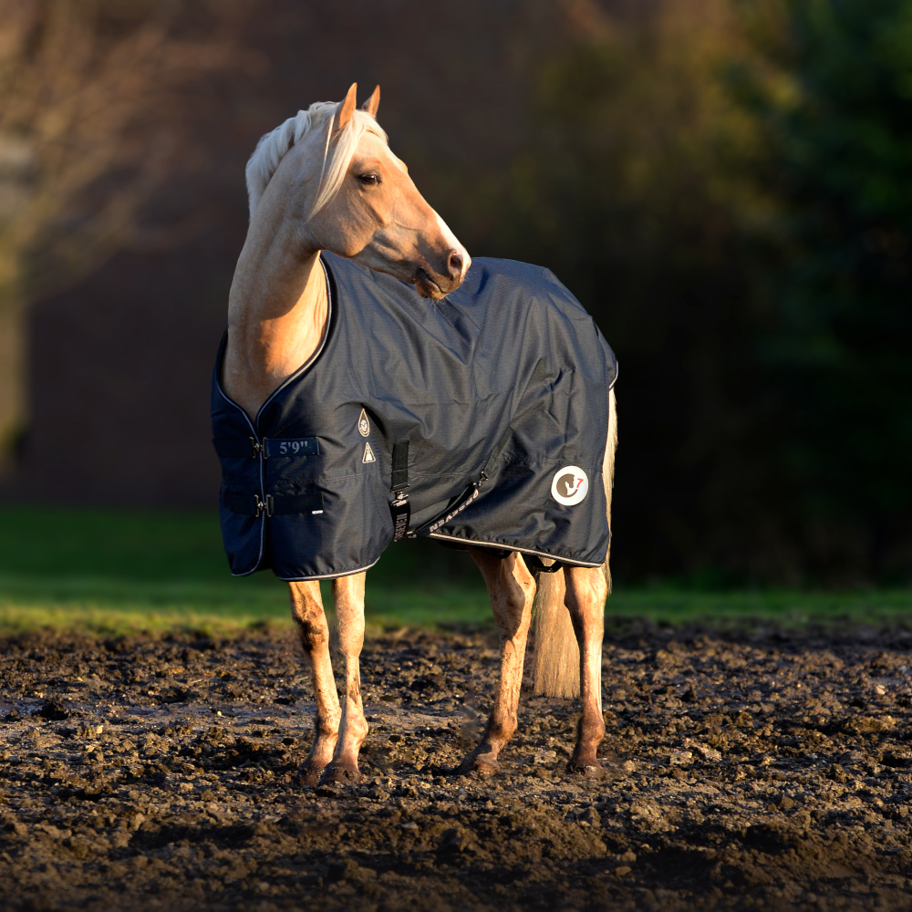 Couverture De Transpiration Horse Guard – Navy, 155 Cm, Neuve