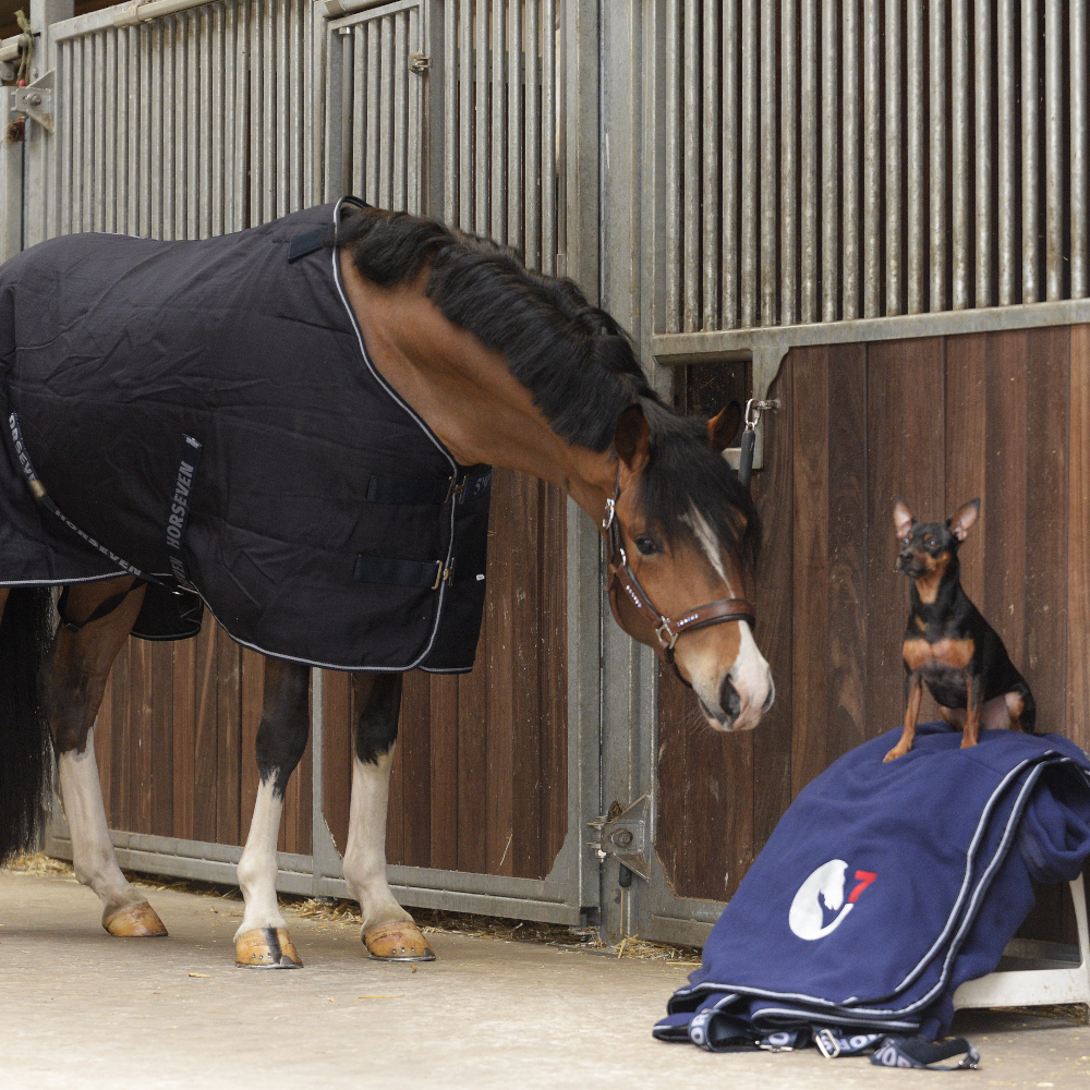Sous Couvertures Liner 300gr Horseware Bleu foncé