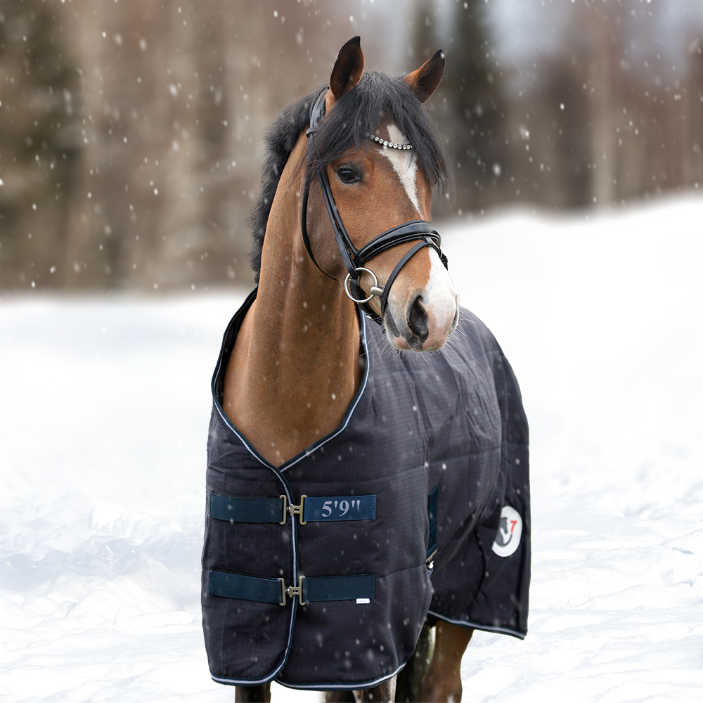 Couvertures de séchage et de transport pour votre cheval