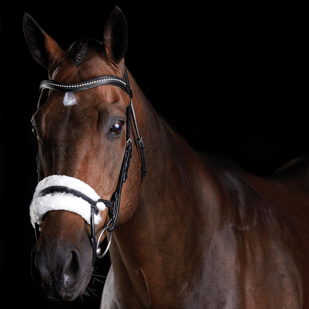 Bride équitation de dressage rembourrée Collegiate Comfitec Opulux | La sellerie de Maé