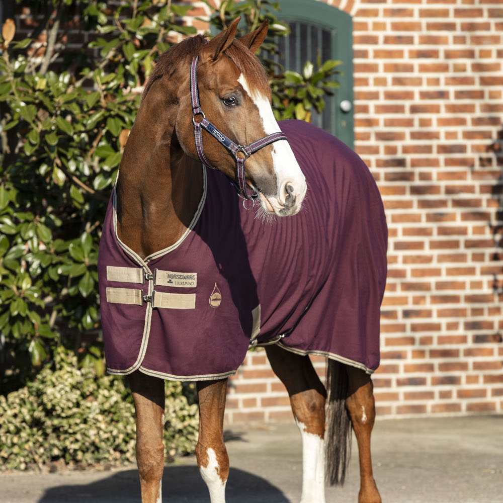 Couverture Amigo Horseware - Couverture chien - Horseware - Le Paturon