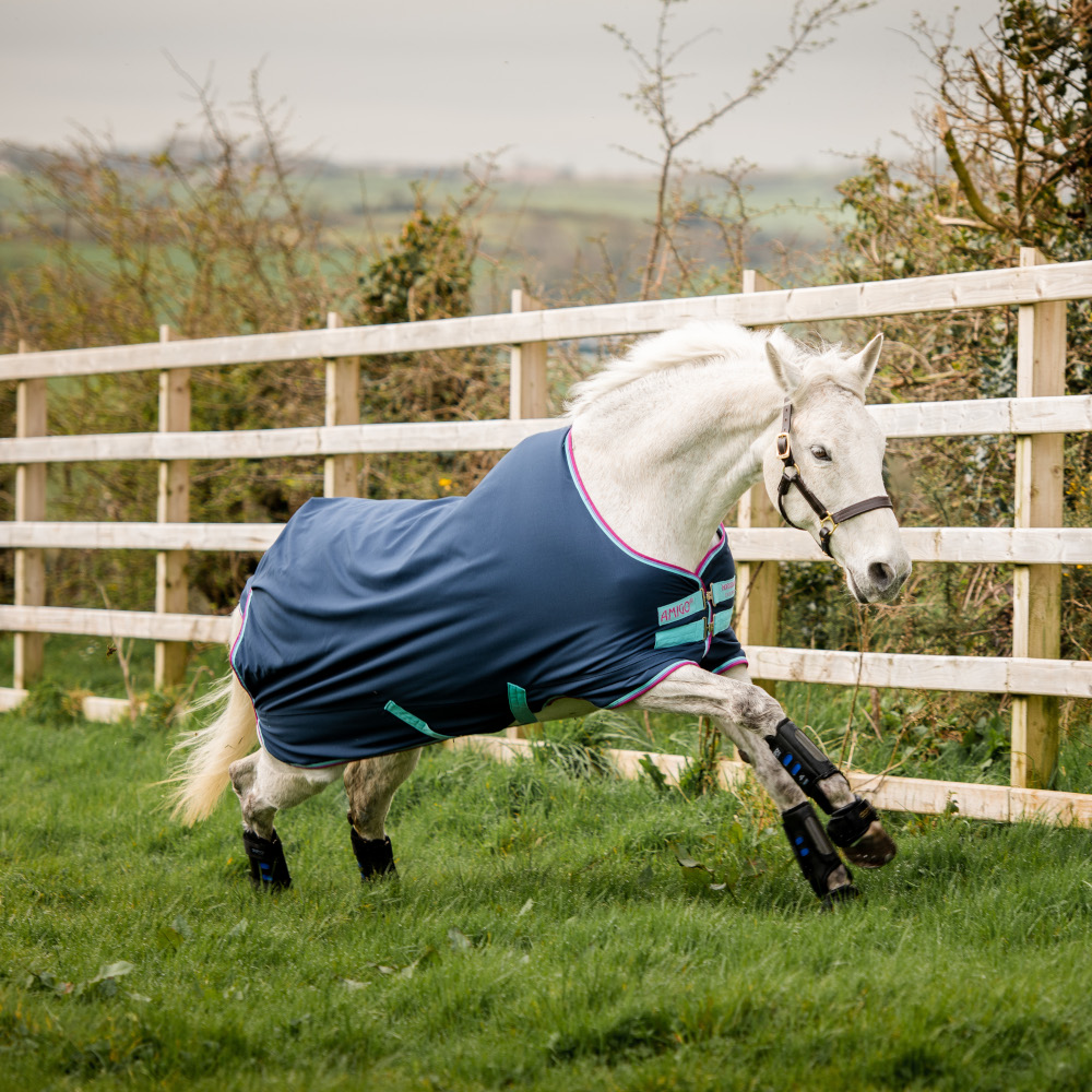 Horseware Amigo Hero 6 Plus Shetland 200gr Waterdicht Deken - CIBA Horseware Amigo Hero 6 Plus Shetland 200gr Waterdicht Deken - CIBA