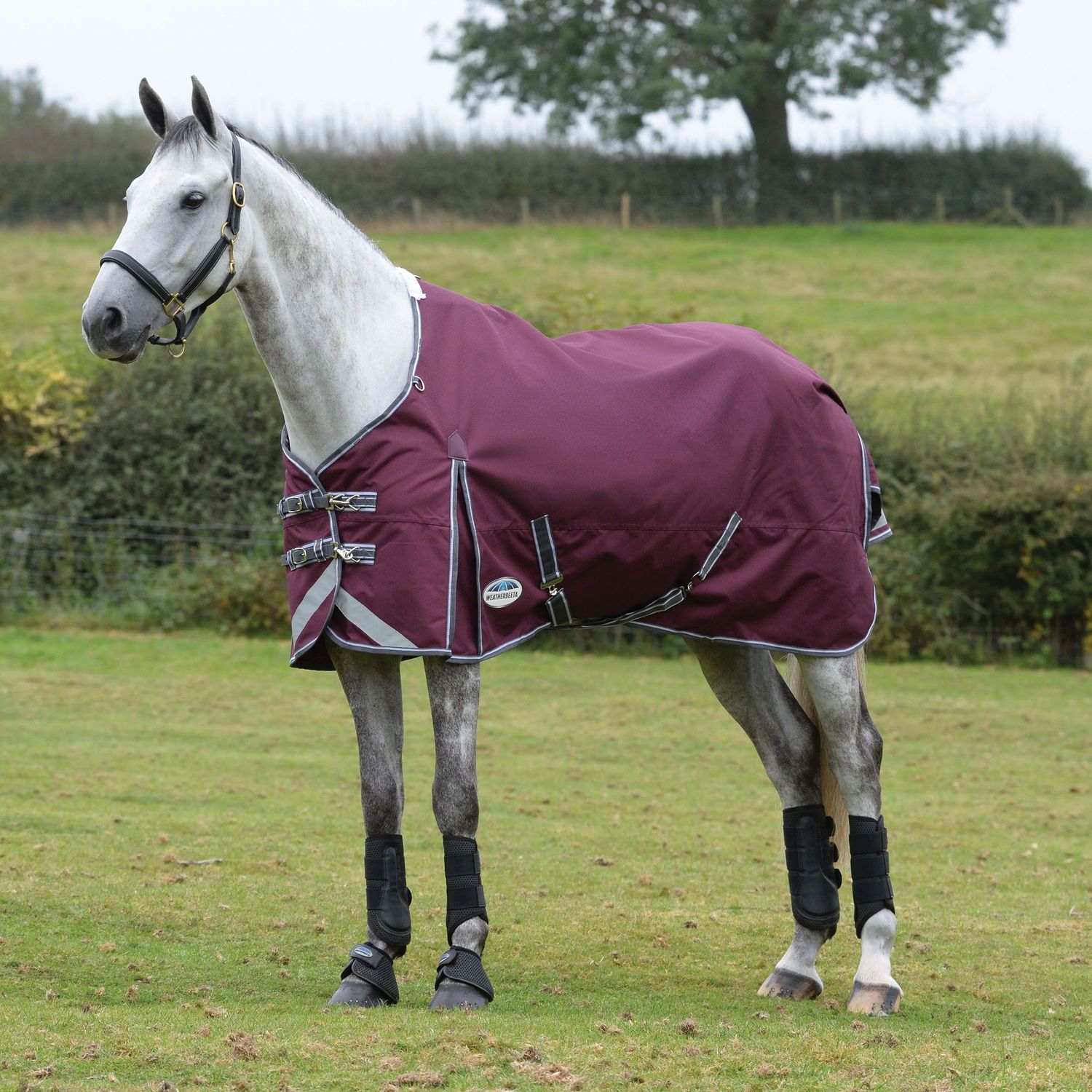 Couverture Semi-épaisse Weatherbeeta Comfitec Essential Pour Cheval – Imperméable, 220 G/m², 1200D