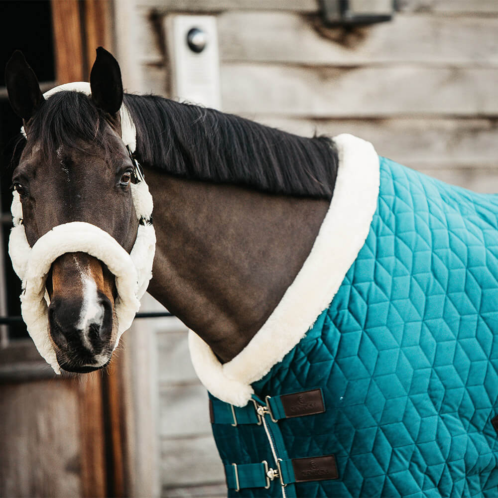 Couverture Baker pour cheval grandeur 72-74