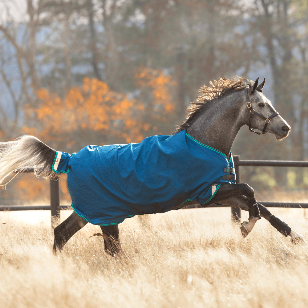 Coperta Horseware Rhino Wug Turnout Lite 100g - Copertina Leggera Per Cavallo Da Paddock - Foto 2