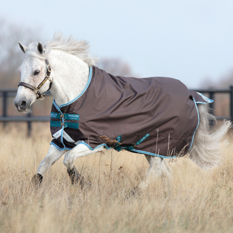 Housse De Cou Amigo Horseware – Turnout – Violet – Taille Poney 4'6 – 150g – Très Bon état
