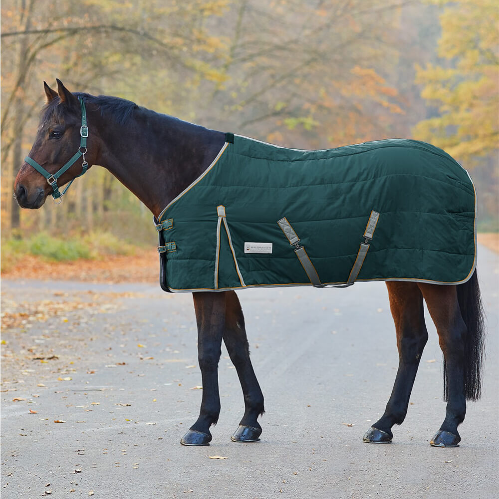 Couverture D'écurie WALDHAUSEN Economic - Vert Sapin, 125 Cm, 200 G/m² - Pour Jours Frais, Coupe Anatomique