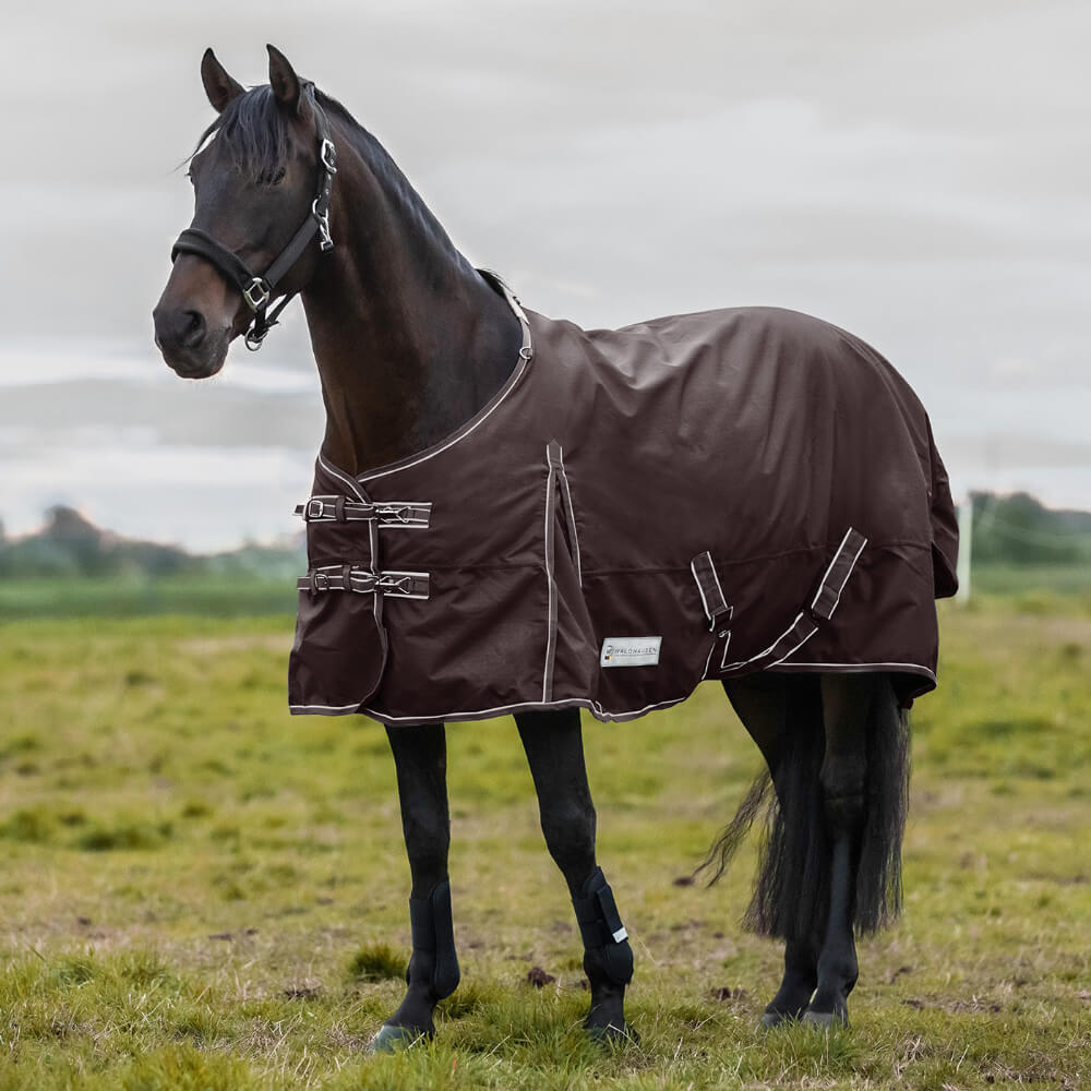 Couverture De Pluie Pour Cheval Economic - Polyester 420 Deniers, étanche 3000 Mm, Sangles Croisées, Rabat Queue, Bleu Nuit