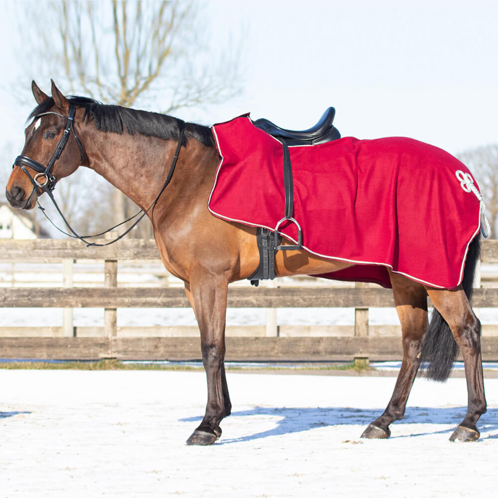 Noir - Martingale pour chevaux en cuir avec rembourrage et boucles en acier