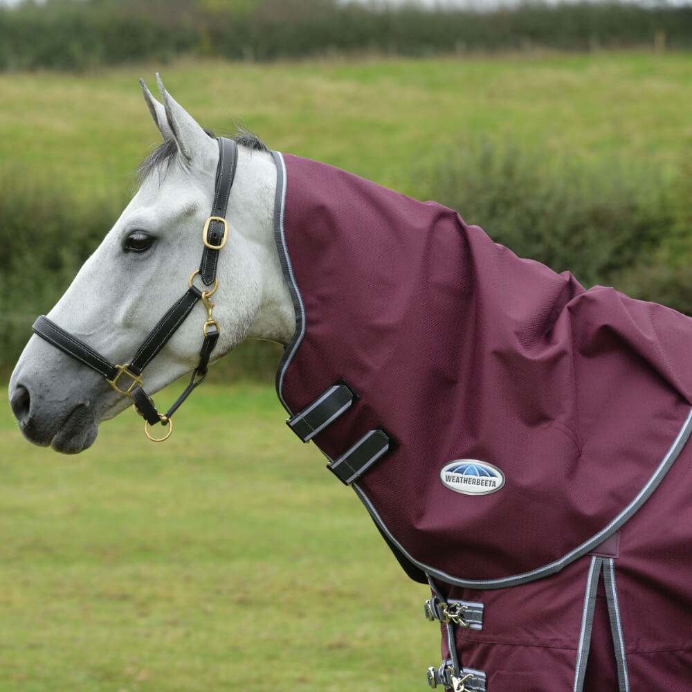 Couverture D'écurie Weatherbeeta Comfitec Essential 220g - Taille 69, Noir, Imperméable, Pour Cheval
